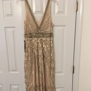 Sue Wong Dresses - Brand new Sue Wong Maxine Size 10 champagne dress Sue Wong Dresses - Brand new Sue Wong Maxine Size 10 champagne dress